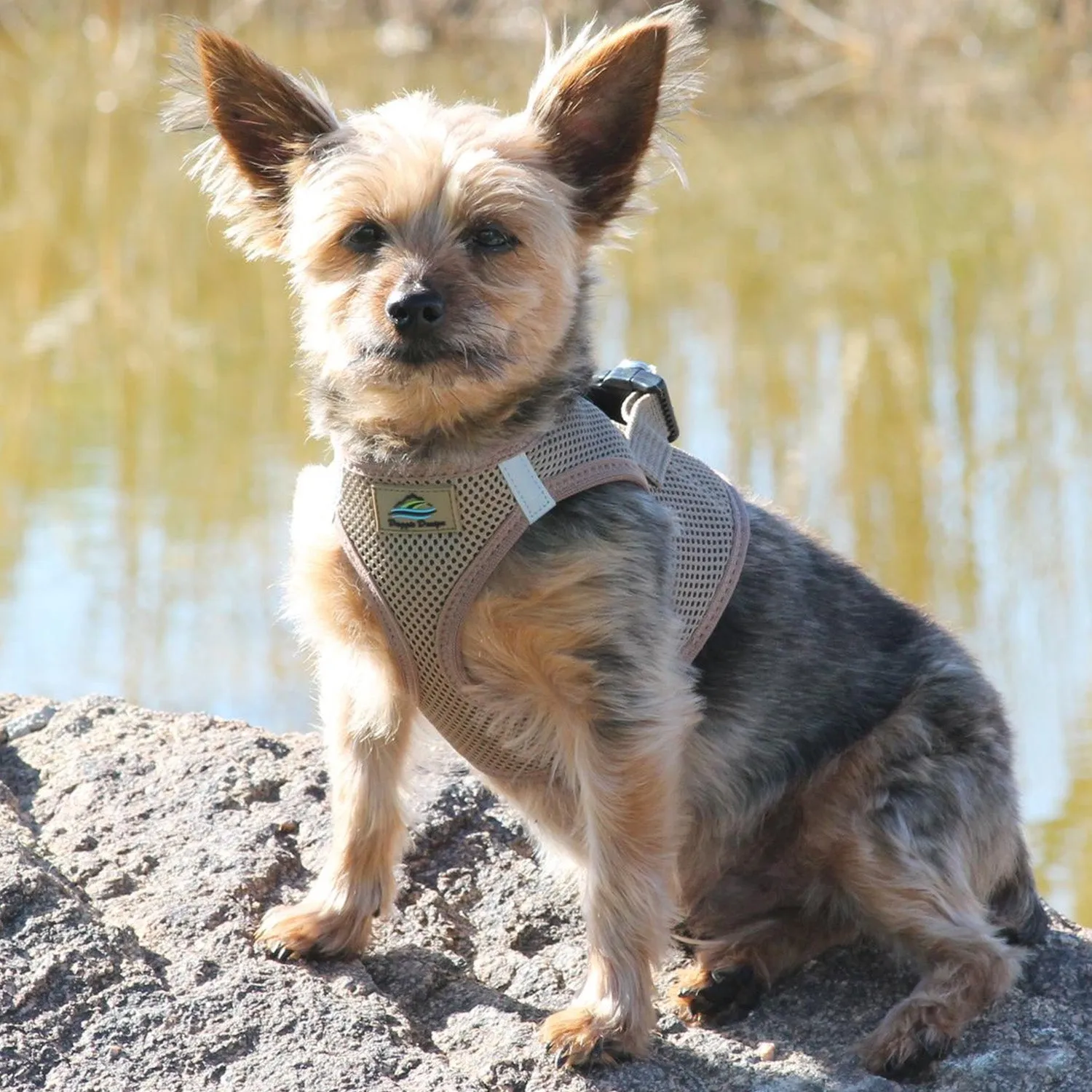 American River Harness by Doggie Design