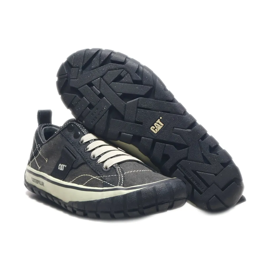 Cat Neder Canvas Low-Top Sneakers Canvas Black Colour For Women